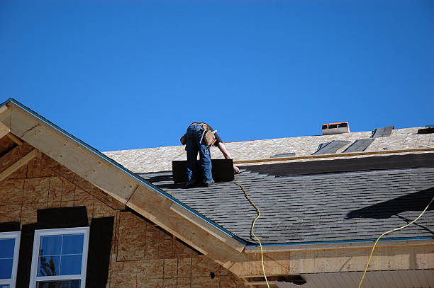 Best Roof Gutter Cleaning  in Truman, MN